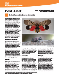 USDA-APHIS Spotted Lanternfly Pest Alert