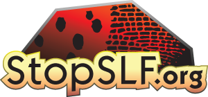 StopSLF.org
